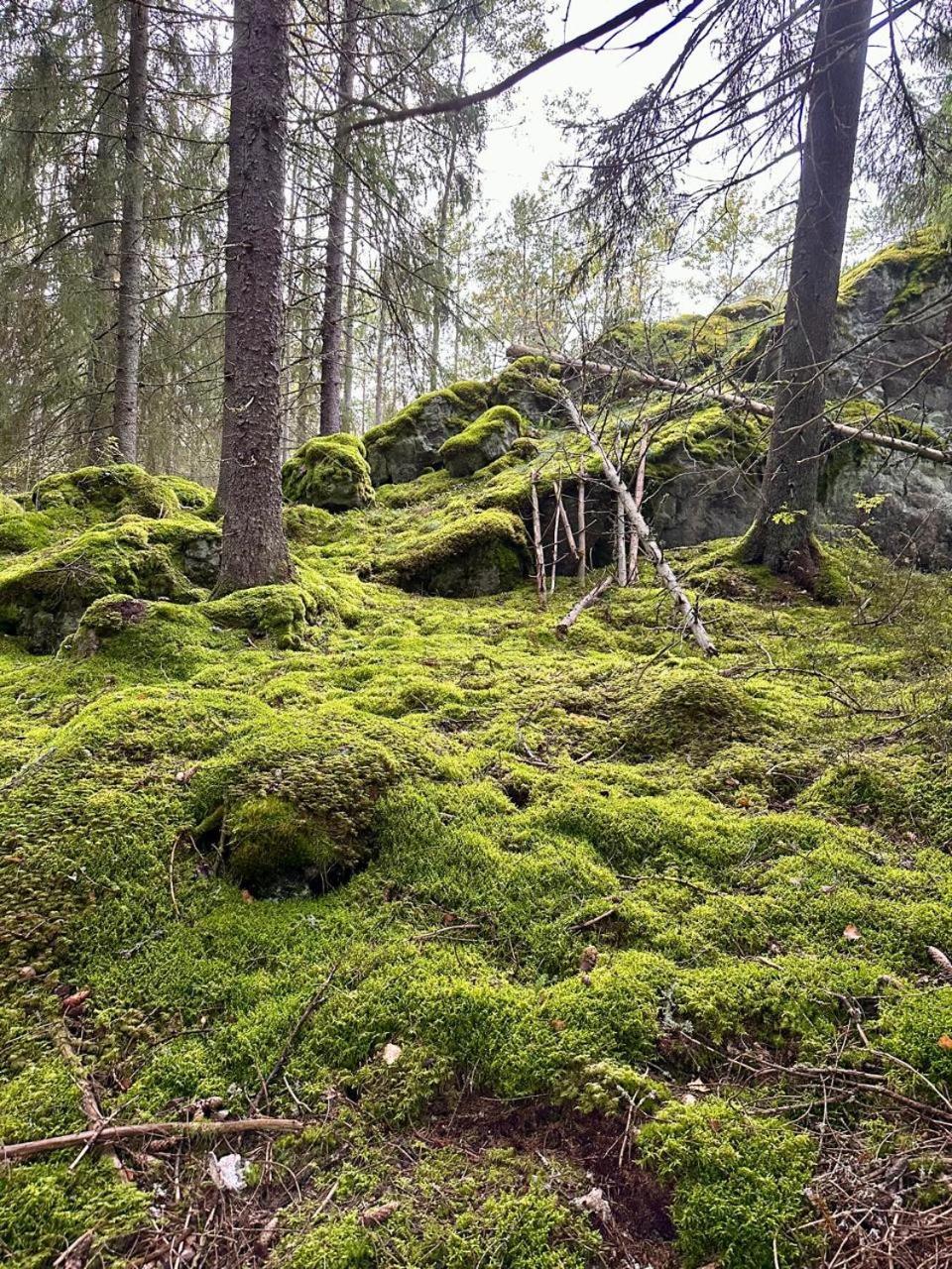 Villa Laidike With Sauna/Fireplace, 80 Km Helsinki Suomusjarvi Zewnętrze zdjęcie